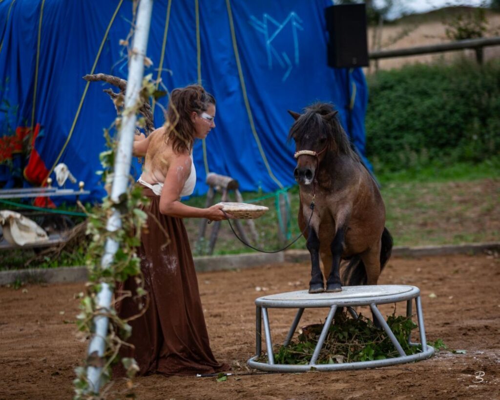 Lucie Lebey et son poney Arthur lors d'une représentation