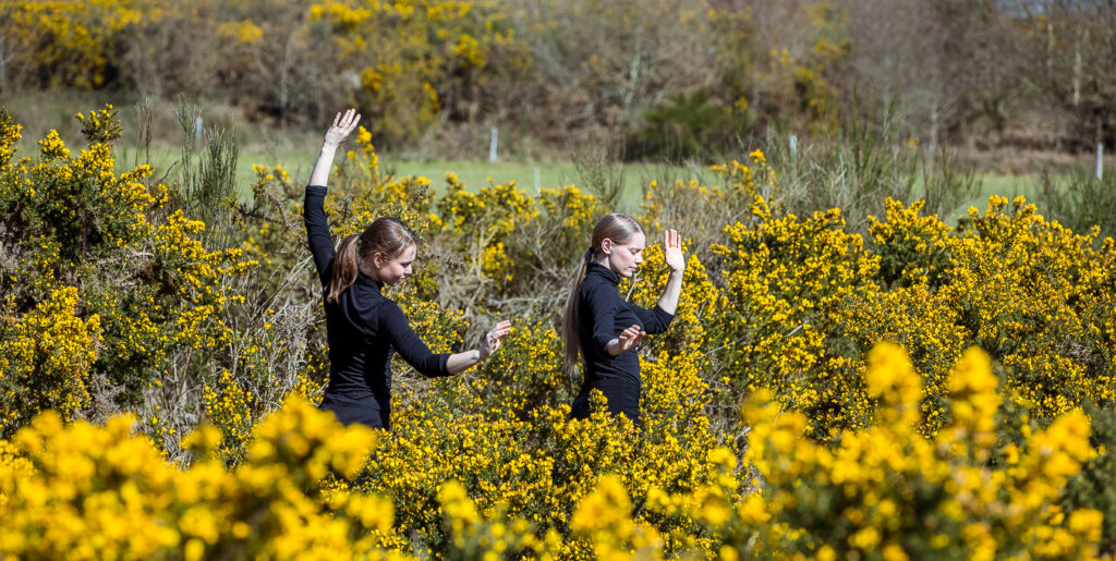 Sarah Kuntz et Sandy Den Hartog dansant au milieu des genêts en fleurs.