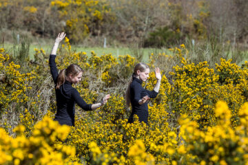 Sarah Kuntz et Sandy Den Hartog dansant au milieu des genêts en fleurs.