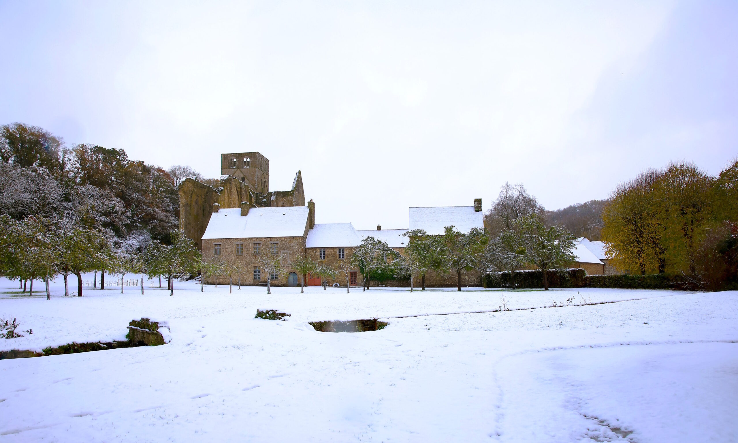L'abbaye de Hambye sous la neige en novembre 2024