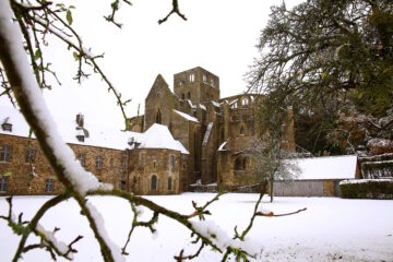 Abbaye de Hambye sous la neige 2024